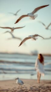 Conciergerie locale pour propriétaires sur la côte de granit rose